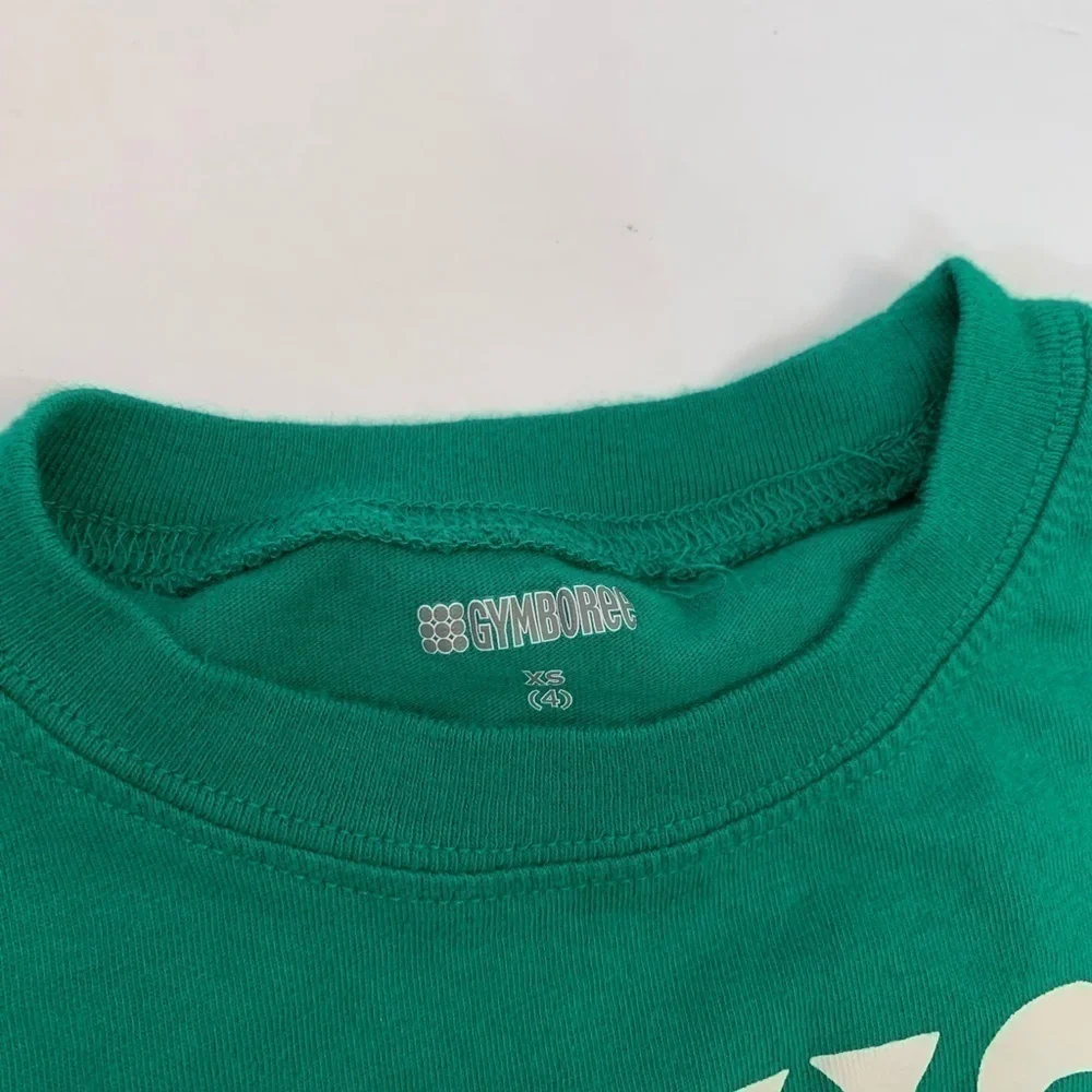 Girls Size 4T Gymboree Navy and Green T-Shirt Lot